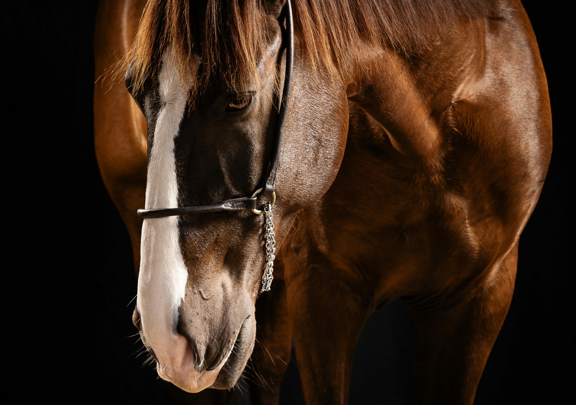 Foto de Renata Cerqueira 15