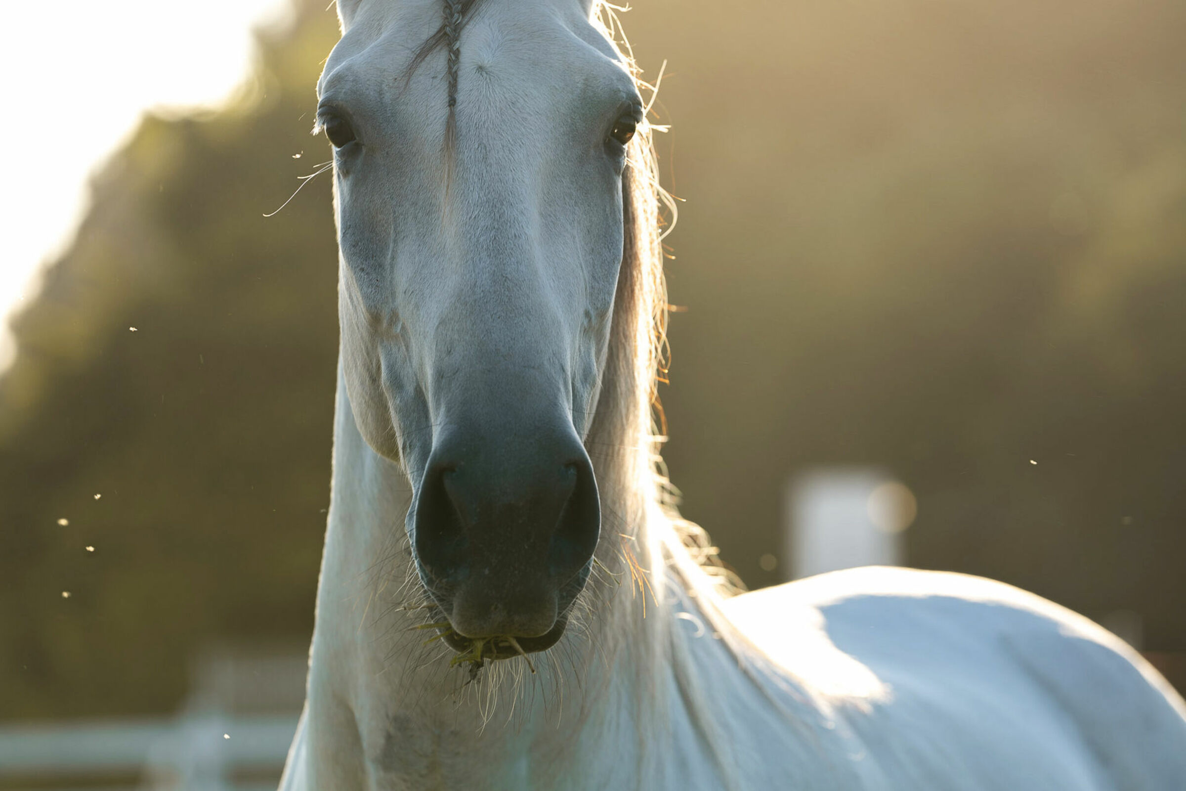Foto de Renata Cerqueira 11