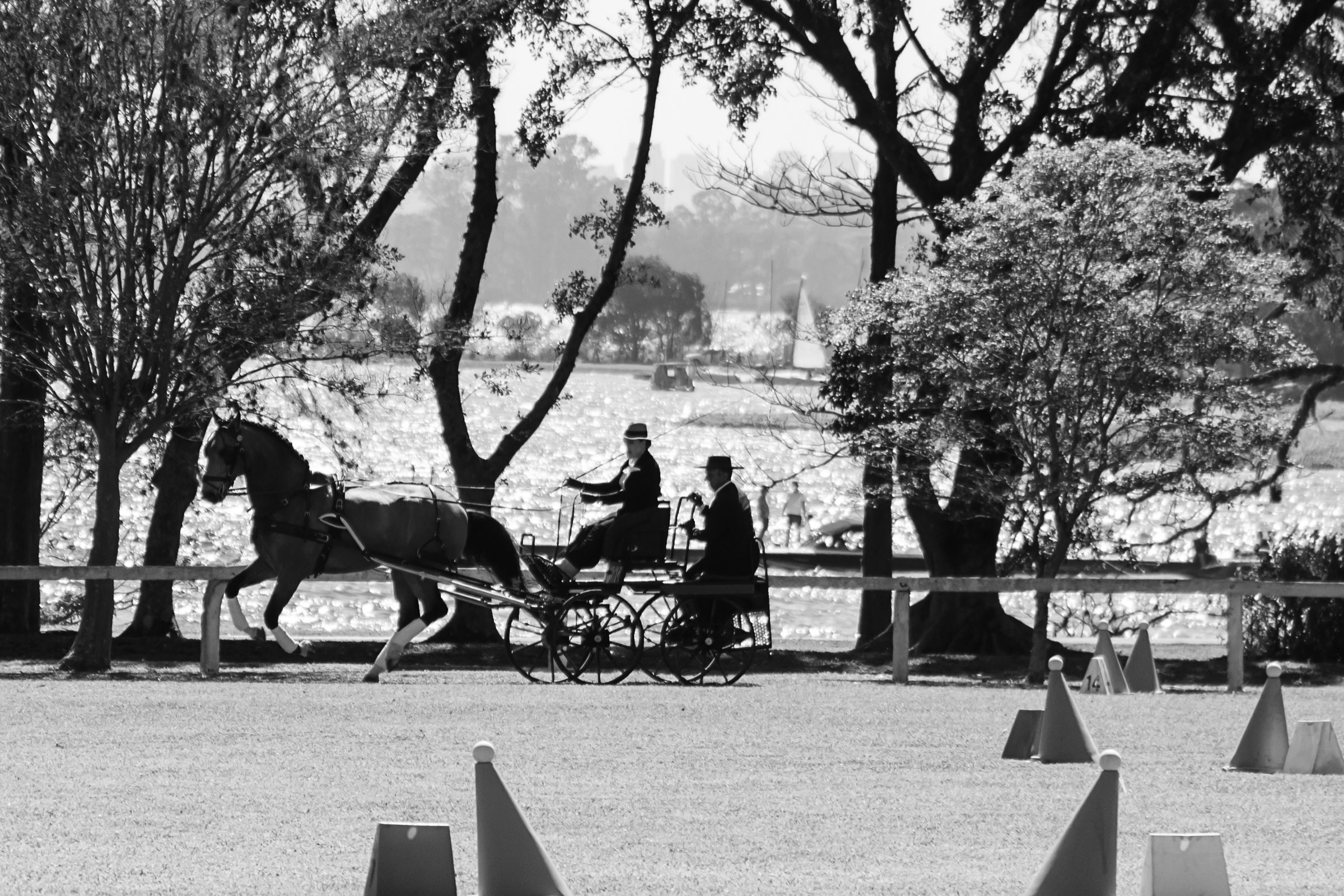 Foto de Renata Cerqueira 19